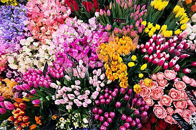 知名爆料人称任天堂Switch继任者可向后兼容 或准备量产